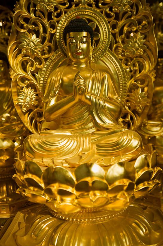 东方人,一个人,无人,寺庙,坐,闭眼,盘腿,竖图,室内,白天,正面,民族服装,旅游,度假,标志建筑,地标,建筑,雕塑,香港,中国,亚洲,仅一个男性,仅一个人,仅一个中年男性,服装,节日,艺术,装饰,雕刻,雕像,燃烧,祝福,黄种人,文化,娱乐,建设,虔诚,衣服,香火,工艺品,庙宇,祈祷,双手合十,享受,休闲,健康,金色,旅游胜地,放松,许愿,宗教,服饰,信仰,纪念,祈求,美术,港,富贵,衣着,穿着,主题,感谢,合掌,陈列,东亚,忠诚,合十礼,合掌礼,香港特别行政区,港澳台,中华人民共和国,合十,莲华合掌,感恩,功能,美学,富丽,衣饰,名誉,荣华,荷李活道,平安,男人,男性,中年男性,亚洲人,闭眼睛,闭着眼,闭着眼睛,盘腿而坐,盘膝,盘着腿的,盘着腿坐,双腿交叉,坐着,彩图,全身,传统服装,民俗服,庙,寺