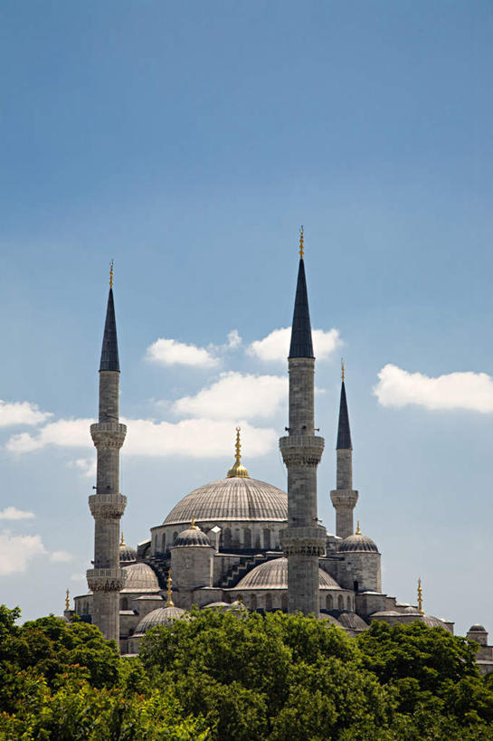 无人,竖图,室外,白天,仰视,旅游,度假,名胜古迹,树林,植物,标志建筑,地标,建筑,土耳其,亚洲,阴影,节日,遗迹,光线,影子,云,云朵,首都,云彩,古迹,文化,文物,娱乐,建设,古建筑,树,树木,蓝色,绿色,白云,蓝天,天空,阳光,自然,天,祈祷,享受,休闲,健康,旅游胜地,放松,许愿,宗教,信仰,生长,晴朗,成长,纪念,祈求,伊斯兰教,清真寺,西亚,古文明,伊斯坦布尔,蓝色清真寺,素檀何密清真寺,光塔,平安,晴空,彩图,低角度拍摄,土耳其共和国