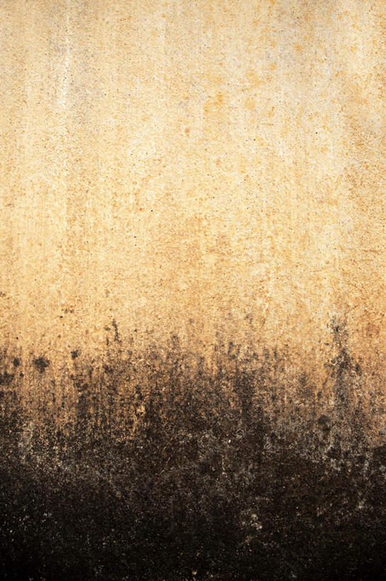 无人,竖图,室外,特写,白天,正面,粗糙,纹路,纹理,墙,破坏,破损,墙壁,墙面,风化,损坏,毛糙,肌理,彩图,粗拙