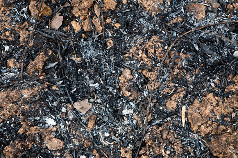 无人,横图,俯视,室外,特写,白天,叶子,许多,阴影,反射,影子,泥土,土壤,枯叶,落叶,尘埃,肮脏,灰尘,尘土,邋遢,龌龊,污秽,叶,叶片,彩图,高角度拍摄