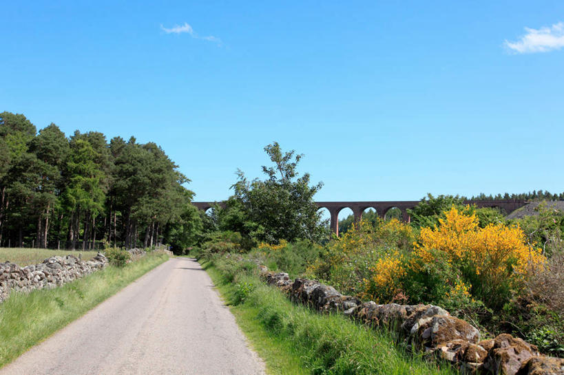 无人,横图,室外,白天,正面,旅游,度假,草地,草坪,石头,美景,植物,道路,路,英国,欧洲,一排,许多,阴影,整齐,光线,石子,影子,景观,云,云朵,拱门,小路,桥,交通,云彩,娱乐,石桥,苏格兰,拱桥,栈桥,草,树,树木,排列,蓝色,绿色,白云,蓝天,天空,阳光,自然,天,享受,休闲,景色,放松,拱形,生长,晴朗,成长,人行桥,石拱桥,西欧,队列,自然风光,大不列颠,大不列颠及北爱尔兰联合王国,苏格兰高地,首府,大不列颠联合王国,日不落英帝国,苏格兰王国,因弗内斯,石块,晴空,彩图