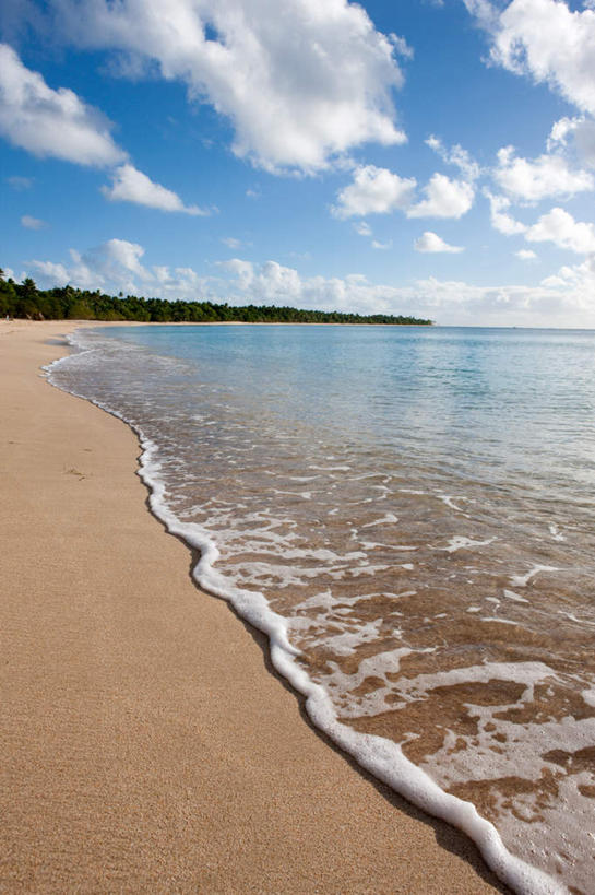 无人,竖图,室外,白天,正面,旅游,度假,海浪,海洋,美景,森林,沙滩,树林,植物,汤加,阴影,光线,沙子,影子,海岸,景观,浪花,水平线,云,云朵,辽阔,海平线,沙地,云彩,娱乐,树,树木,蓝色,绿色,白云,蓝天,天空,阳光,自然,海水,天,享受,休闲,广阔,景色,放松,生长,晴朗,成长,一望无际,自然风光,大洋洲,海景,无边无际,一马平川,汤加王国,友爱群岛,大海,风浪,海,海水的波动,海滩,近岸浪,涌浪,晴空,彩图,水天相接,水天一线