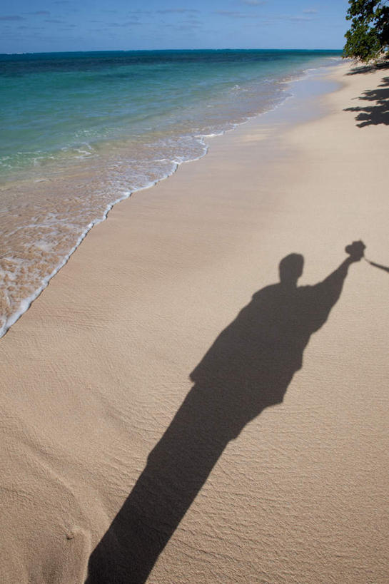 西方人,一个人,无人,站,竖图,室外,白天,正面,旅游,度假,海浪,海洋,美景,沙滩,植物,欧洲,汤加,欧洲人,仅一个男性,仅一个人,阴影,服装,光线,沙子,影子,海岸,景观,浪花,水平线,辽阔,海平线,沙地,注视,休闲装,娱乐,树,树木,仅一个年轻男性,衣服,蓝色,绿色,蓝天,天空,阳光,自然,海水,天,观察,看,站着,享受,休闲,广阔,休闲服,景色,放松,服饰,生长,晴朗,成长,观看,一望无际,察看,关注,自然风光,大洋洲,海景,万里无云,无边无际,一马平川,汤加王国,友爱群岛,男人,男性,年轻男性,白种人,大海,风浪,海,海水的波动,海滩,近岸浪,涌浪,晴空,晴空万里,站立,半身,彩图,水天相接,水天一线