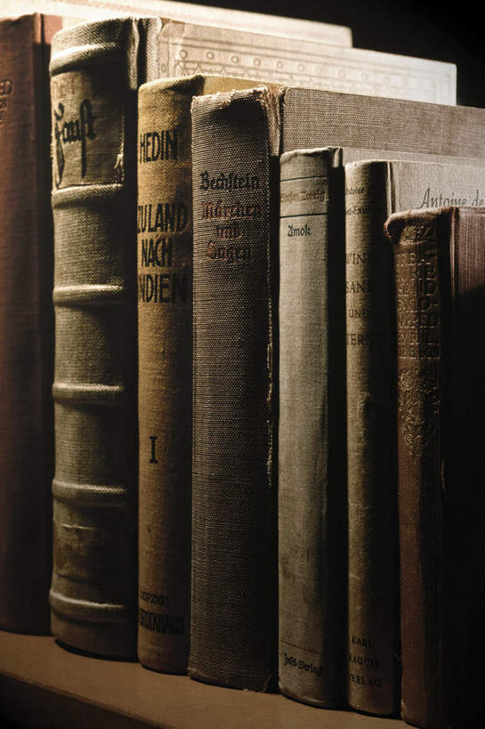 无人,竖图,室内,特写,白天,正面,看书,阅读,静物,书籍,一排,许多,学习,阴影,朦胧,模糊,整齐,反射,影子,排列,书本,看,读书,浏览,队列,挡书板,书挡,书夹,书立,书,图书,彩图