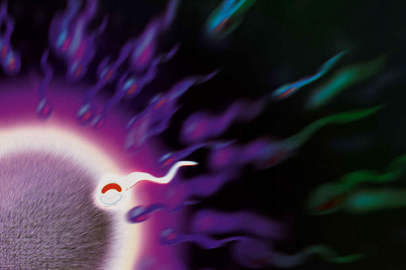 无人,横图,室内,白天,正面,数码,科技,阴影,网络,高光,几何,计算机图形,合成,精子,怀孕,电脑合成图,数码合成图,合成图,写实,具体,具象,卵,彩图