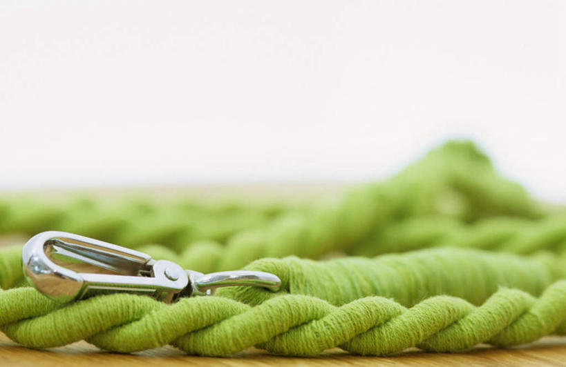 无人,横图,室内,特写,白天,正面,地板,静物,金属制品,一根,朦胧,模糊,金属,墙,地面,木地板,墙壁,墙面,白色,绳子,绳索,狗链,彩图