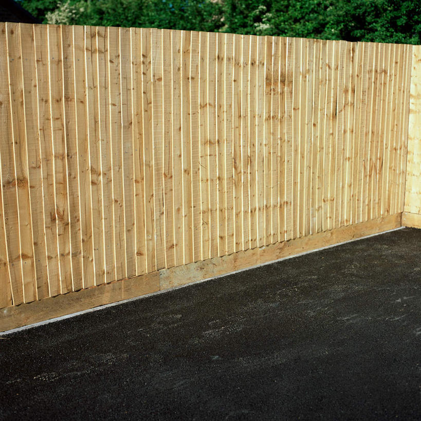 无人,栏杆,方图,室外,白天,正面,植物,阴影,光线,影子,栅栏,篱笆,围栏,地面,护栏,树,树木,绿色,阳光,自然,生长,成长,彩图