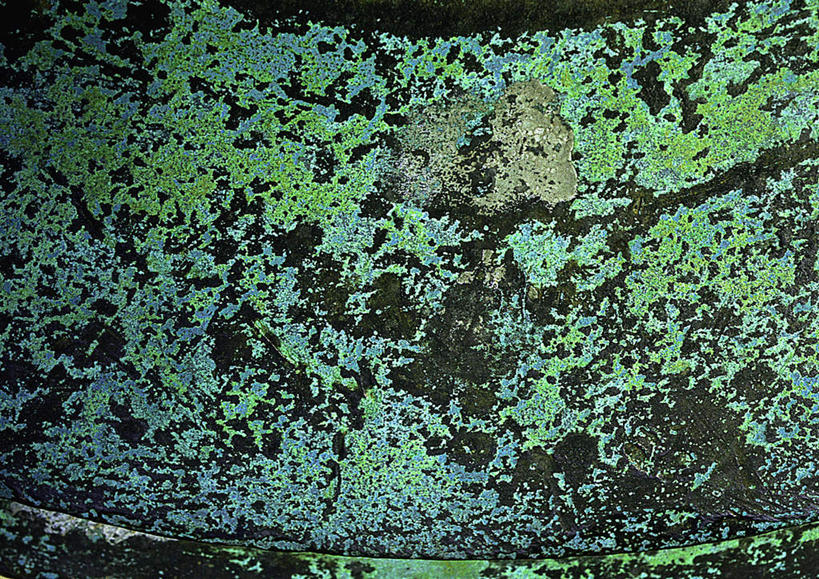 无人,横图,俯视,室内,特写,白天,石头,植物,静物,石子,景观,绿色,自然,景色,生长,成长,藻类,自然风光,石块,岩石,彩图,高角度拍摄