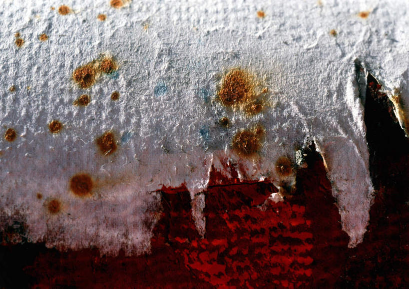 无人,横图,室内,特写,白天,正面,植物,静物,一棵,阴影,枯萎,干枯,锈,光线,影子,斑点,树,树木,阳光,自然,肮脏,生长,成长,彩图