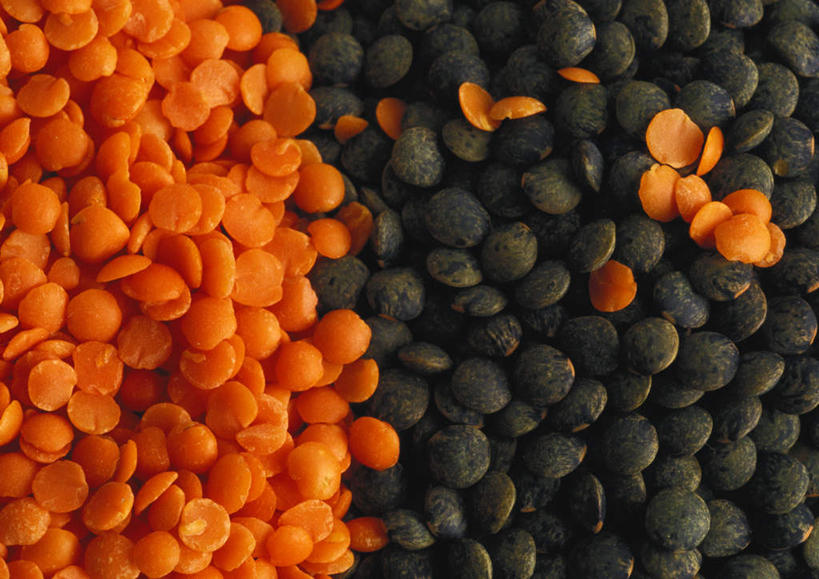 无人,横图,俯视,室内,特写,白天,植物,餐桌,桌子,豆,一堆,许多,堆叠,堆积,豆类,豆子,黑色,橙色,摄影,影棚,餐台,堆,豆科,红扁豆,白扁豆,羊眼豆,沿篱豆,小刀豆,藤豆,树豆,膨皮豆,南豆,南扁豆,凉衍豆,蛾眉豆,茶豆,藊豆,彩图,高角度拍摄,影棚拍摄,拍摄