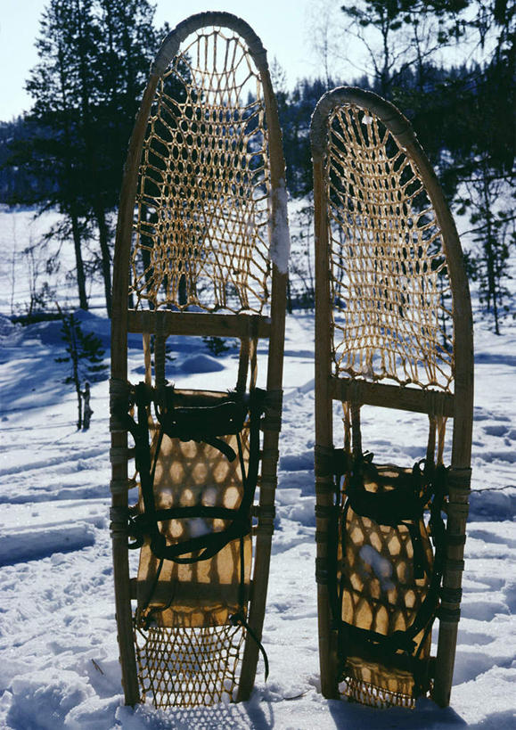 无人,竖图,室外,白天,正面,旅游,度假,美景,雪,植物,大雪,瑞典,欧洲,积雪,景观,雪地,雪景,冬天,插,娱乐,树,树木,绿色,天空,自然,天,享受,休闲,景色,放松,生长,插入,成长,斯堪的纳维亚,自然风光,北欧,斯堪的纳维亚半岛,雪鞋,瑞典王国,彩图