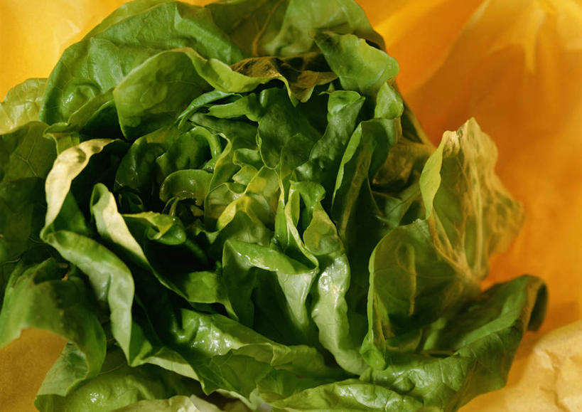 无人,横图,俯视,室内,特写,白天,蔬菜,叶子,朦胧,模糊,新鲜,生菜,食品,绿叶,食物,绿色,嫩叶,有机食品,绿色食品,叶,叶片,彩图,高角度拍摄