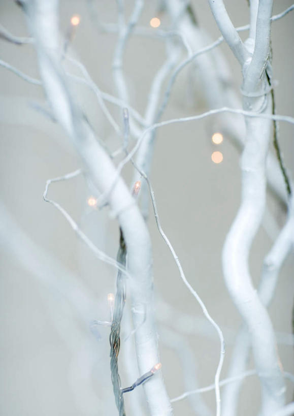 无人,竖图,室外,特写,白天,正面,植物,静物,圣诞节,节日,朦胧,模糊,庆祝,装饰,彩灯,文化,装饰品,树,树木,树枝,绿色,自然,装饰物,庆典,生长,成长,纪念,彩图