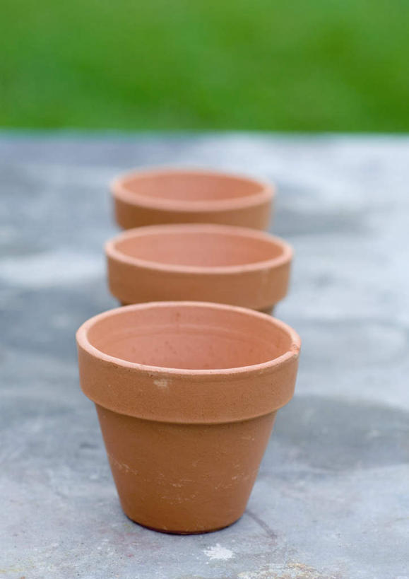 无人,竖图,俯视,室外,特写,白天,草地,草坪,太阳,植物,花盆,一排,阴影,朦胧,模糊,整齐,光线,工具,盆,影子,园艺工具,园艺,草,排列,三个,红色,绿色,阳光,队列,器具,彩图,高角度拍摄