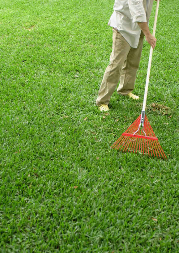 西方人,一个人,站,竖图,俯视,室外,白天,旅游,度假,草地,草坪,太阳,植物,欧洲,欧洲人,仅一个男性,仅一个人,握,阴影,服装,光线,扫帚,影子,拿,拿着,休闲装,娱乐,草,衣服,绿色,阳光,站着,仅一个老年男性,享受,休闲,休闲服,放松,握着,服饰,户外运动,扫地,老年男性,男人,男性,白种人,站立,半身,彩图,高角度拍摄