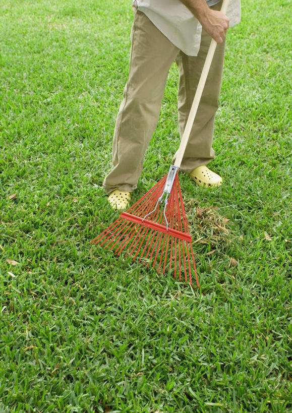 西方人,一个人,站,竖图,俯视,室外,白天,旅游,度假,草地,草坪,太阳,植物,欧洲,欧洲人,仅一个男性,仅一个人,握,阴影,服装,光线,扫帚,影子,拿,拿着,休闲装,娱乐,草,衣服,绿色,阳光,站着,仅一个老年男性,享受,休闲,休闲服,放松,握着,服饰,户外运动,扫地,老年男性,男人,男性,白种人,站立,半身,彩图,高角度拍摄