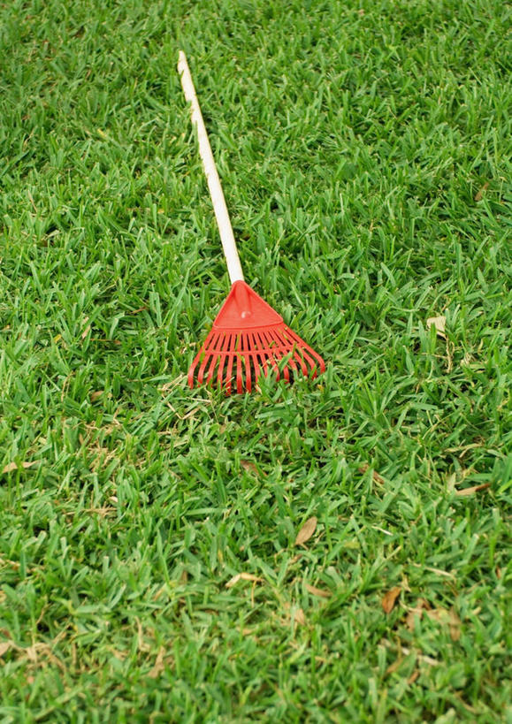 无人,竖图,俯视,室外,白天,草地,草坪,太阳,植物,一把,阴影,朦胧,模糊,光线,扫帚,影子,园艺工具,园艺,草,一只,绿色,阳光,彩图,高角度拍摄