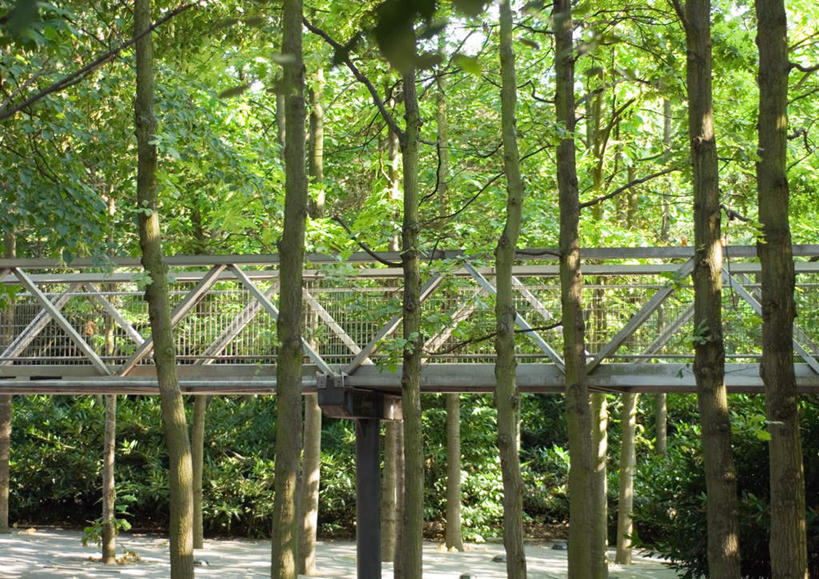 无人,栏杆,横图,室外,白天,正面,旅游,度假,石头,美景,森林,树林,植物,石子,景观,围栏,桥,娱乐,石桥,护栏,拱桥,栈桥,树,树木,绿色,自然,享受,休闲,景色,放松,拱形,生长,成长,人行桥,石拱桥,自然风光,石块,彩图