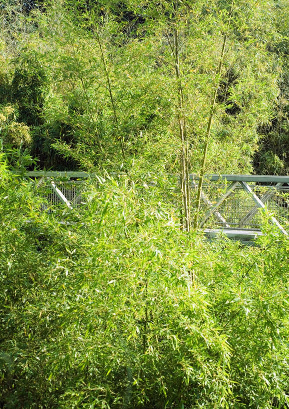 无人,栏杆,竖图,室外,白天,正面,旅游,度假,石头,美景,森林,树林,植物,石子,景观,围栏,桥,娱乐,石桥,护栏,拱桥,栈桥,树,树木,绿色,自然,享受,休闲,景色,放松,拱形,生长,成长,人行桥,石拱桥,自然风光,石块,彩图