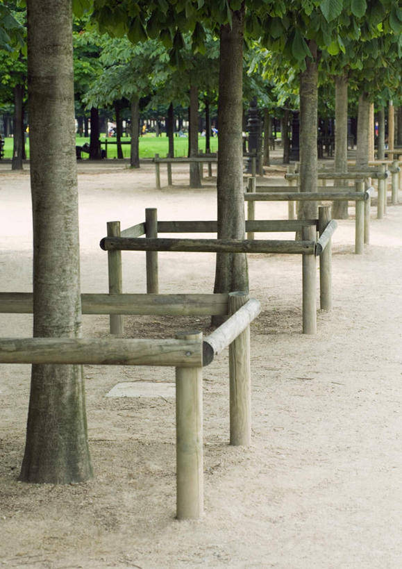 无人,栏杆,竖图,室外,白天,正面,旅游,度假,美景,森林,树林,植物,景观,围栏,娱乐,护栏,树,树木,绿色,自然,享受,休闲,景色,放松,生长,成长,自然风光,彩图