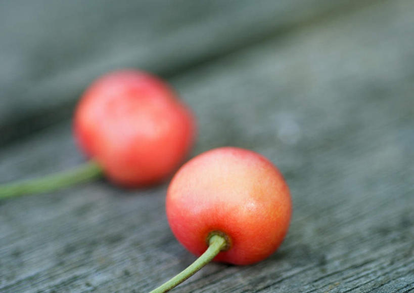 无人,横图,俯视,室外,特写,白天,樱桃,水果,朦胧,模糊,新鲜,食品,食物,两个,有机食品,绿色食品,樱珠,莺桃,英桃,楔桃,牛桃,荆桃,彩图,高角度拍摄