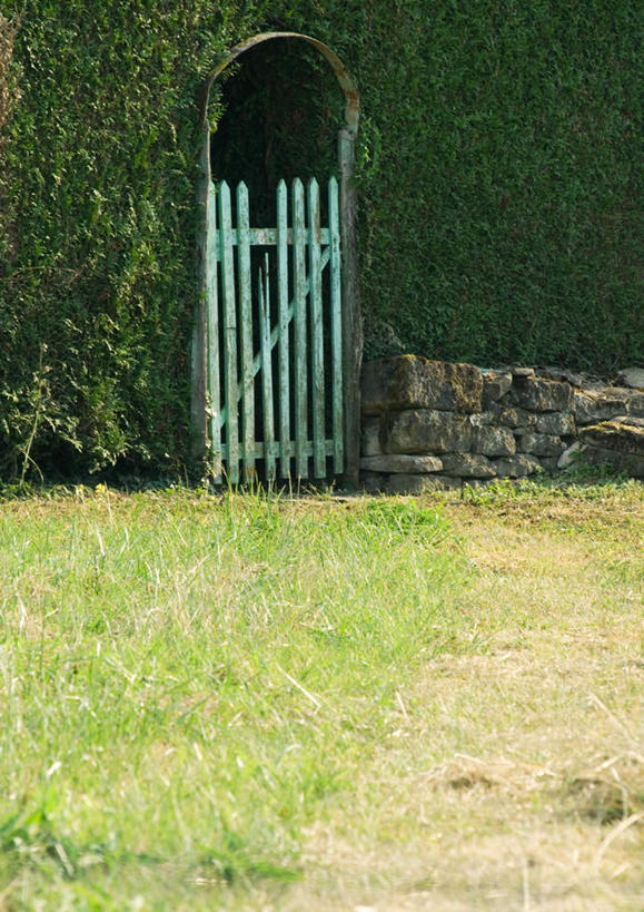 无人,栏杆,竖图,室外,白天,正面,旅游,度假,草地,草坪,美景,植物,栅栏,景观,篱笆,围栏,常春藤,爬山虎,草药,娱乐,护栏,中药,草,自然,享受,休闲,景色,放松,自然风光,药材,中草药,爬墙虎,中药材,本草,地锦,趴山虎,巴山虎,彩图,常青藤