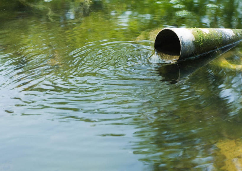 无人,横图,室外,白天,正面,旅游,度假,河流,美景,水,植物,阴影,光线,管子,影子,河水,景观,水流,娱乐,水管,树,树木,绿色,阳光,自然,享受,休闲,景色,放松,生长,成长,铁管,自然风光,彩图