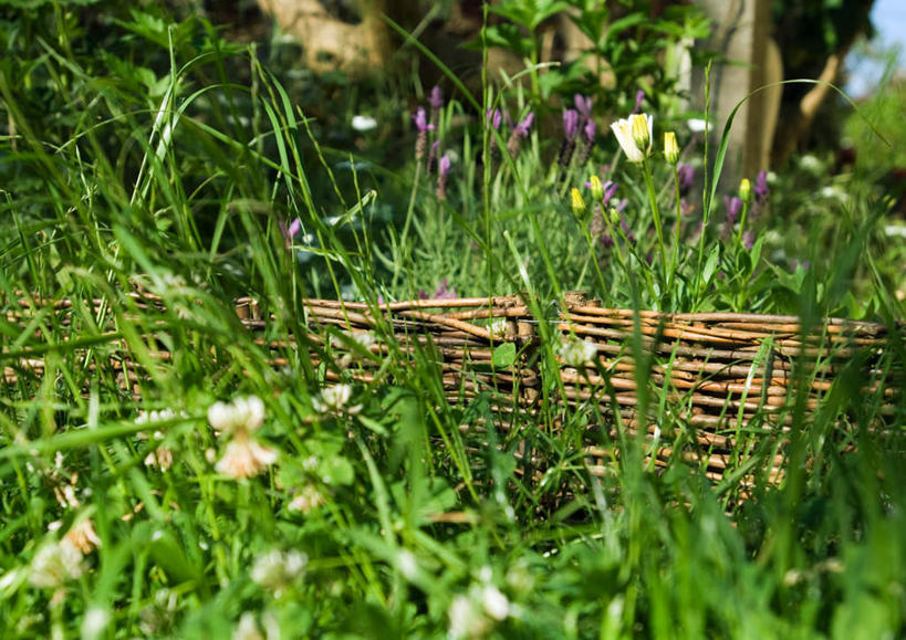 无人,横图,室外,特写,白天,正面,旅游,度假,草地,草坪,美景,植物,枯萎,景观,枯草,娱乐,草,黄色,绿色,自然,享受,休闲,景色,放松,自然风光,彩图