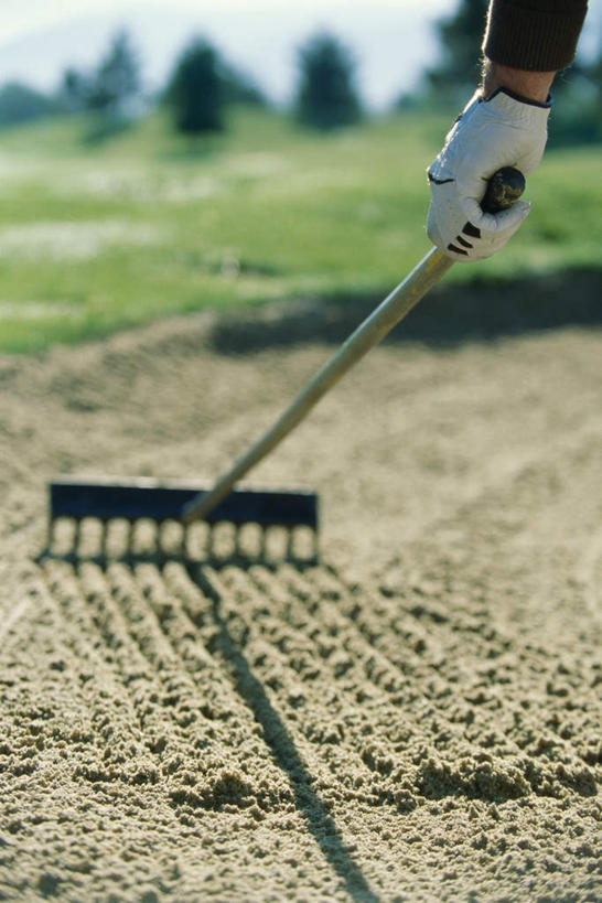 西方人,一个人,站,竖图,室外,白天,正面,草地,草坪,沙滩,植物,欧洲,欧洲人,仅一个男性,仅一个人,仅一个中年男性,工具,沙子,沙地,拿,拿着,草,树,树木,绿色,自然,站着,生长,成长,耙,男人,男性,中年男性,白种人,海滩,站立,半身,彩图