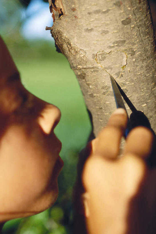 西方人,儿童,一个人,站,竖图,室外,白天,侧面,纯洁,植物,欧洲,欧洲人,仅一个女性,仅一个人,爱心,拿,拿着,树,树木,小孩,绿色,自然,站着,仅一个小孩,可爱,童年,童趣,生长,成长,小刀,童真,烂漫,无邪,天真,女孩,女人,女性,白种人,孩子,心型,站立,半身,彩图,女生