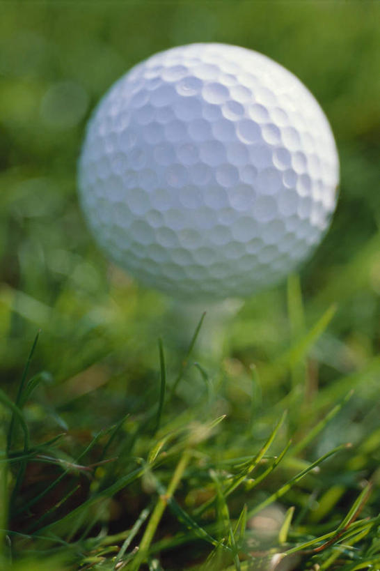 无人,竖图,室外,特写,白天,正面,锻炼,运动,草地,草坪,植物,高尔夫,高尔夫球,球,草,一个,绿色,球体,球托,单个,高尔夫运动,体育,彩图,健身