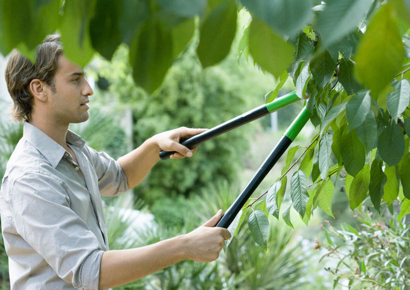 西方人,一个人,站,横图,室外,白天,侧面,叶子,欧洲,欧洲人,仅一个男性,仅一个人,修剪,朦胧,模糊,剪刀,云,云朵,绿叶,拿,云彩,拿着,仅一个年轻男性,白云,天空,天,站着,嫩叶,剪,男人,男性,年轻男性,白种人,叶,叶片,站立,半身,彩图