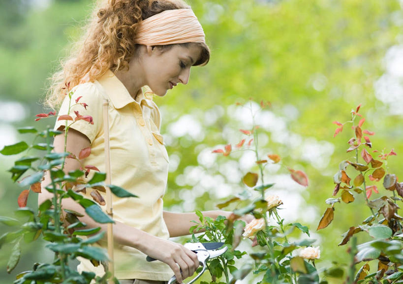 西方人,一个人,花园,站,横图,室外,白天,侧面,花圃,树林,植物,叶子,欧洲,欧洲人,仅一个年轻女性,仅一个女性,仅一个人,修剪,朦胧,模糊,剪刀,绿叶,拿,拿着,休闲装,发带,树,树木,绿色,自然,站着,休闲,休闲服,嫩叶,生长,成长,剪,年轻女性,女人,女性,白种人,叶,叶片,小花园,站立,半身,彩图