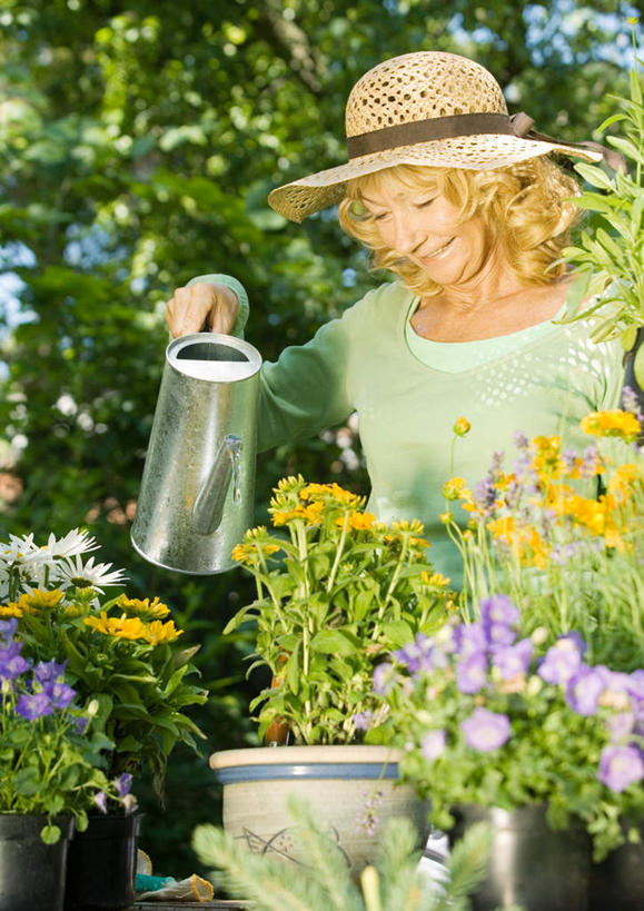 西方人,一个人,花园,站,笑,微笑,竖图,室外,白天,正面,花海,花圃,帽子,叶子,欧洲,欧洲人,仅一个女性,仅一个人,戴,盛开,壶,拿,花蕾,洒水壶,拿着,花,花瓣,花朵,鲜花,绿色,遮阳帽,花丛,花束,花田,花苞,花蕊,站着,仅一个老年女性,戴着,老年女性,女人,女性,白种人,小花园,站立,半身,彩图