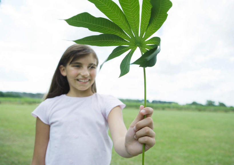 西方人,儿童,一个人,站,笑,微笑,露齿笑,横图,室外,白天,正面,纯洁,森林,树林,植物,叶子,欧洲,欧洲人,仅一个女性,仅一个人,朦胧,模糊,云,云朵,绿叶,拿,云彩,拿着,树,树木,小孩,蓝色,绿色,白云,蓝天,天空,自然,天,站着,仅一个小孩,嫩叶,可爱,童年,童趣,生长,成长,木薯,童真,烂漫,无邪,树薯,木番薯,天真,女孩,女人,女性,白种人,孩子,叶,叶片,站立,半身,彩图,女生