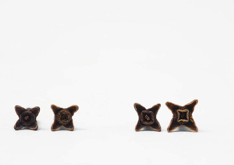 无人,横图,室内,特写,白天,白色背景,正面,桌面,桌子,一排,整齐,干燥,调料,香料,食品,棕色,调味品,调味料,食物,排列,四个,摄影,影棚,队列,光辉,晾干,初恋,愁绪,愁怨,华北紫丁香,龙梢子,丁香,紫丁香,彩图,影棚拍摄,拍摄