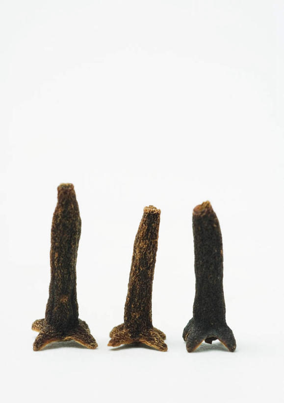 无人,竖图,室内,特写,白天,白色背景,正面,桌面,桌子,一排,整齐,干燥,调料,香料,食品,棕色,调味品,调味料,食物,排列,三个,摄影,影棚,队列,光辉,晾干,初恋,愁绪,愁怨,华北紫丁香,龙梢子,丁香,紫丁香,彩图,影棚拍摄,拍摄