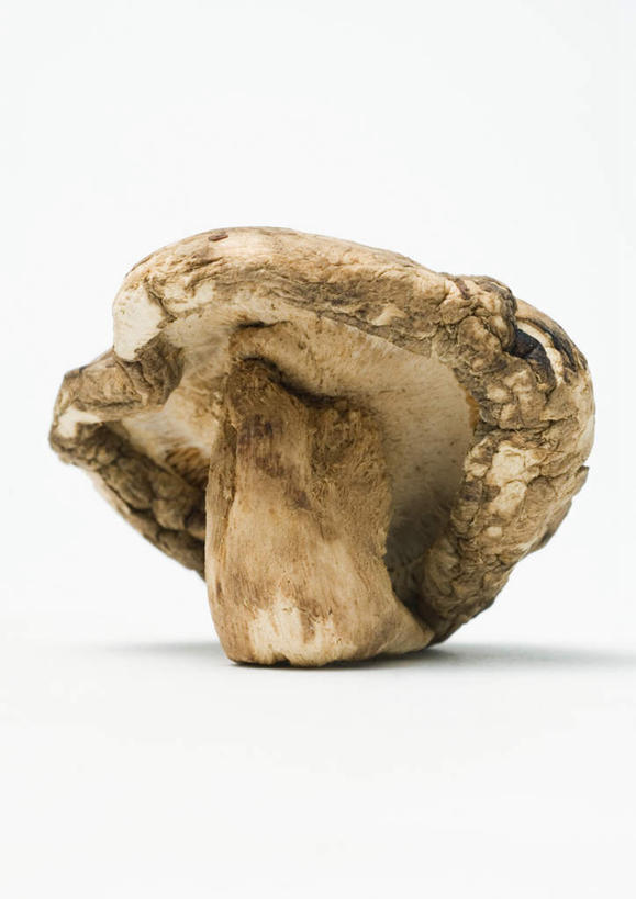 无人,竖图,室内,特写,白天,白色背景,正面,桌面,桌子,蔬菜,新鲜,干燥,菌菇,香菇,食品,棕色,菌类,食物,一个,食用菌,摄影,有机食品,绿色食品,影棚,单个,晾干,彩图,影棚拍摄,拍摄