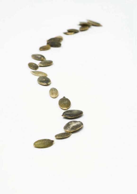 无人,竖图,俯视,室内,特写,白天,白色背景,桌面,桌子,一排,许多,弯曲,整齐,干燥,食品,弧形,食物,排列,摄影,蜿蜒,影棚,弧线,队列,南瓜子,晾干,彩图,高角度拍摄,影棚拍摄,拍摄