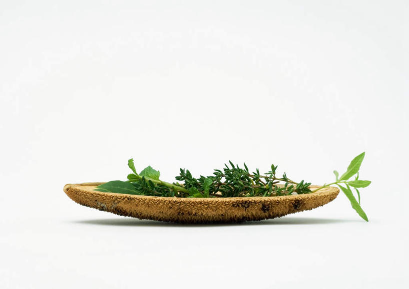 无人,横图,室内,特写,白天,白色背景,正面,植物,桌面,桌子,叶子,托盘,许多,木制,绿叶,草药,药草,中药,嫩叶,摄影,影棚,药材,中草药,中药材,本草,叶,叶片,彩图,影棚拍摄,拍摄