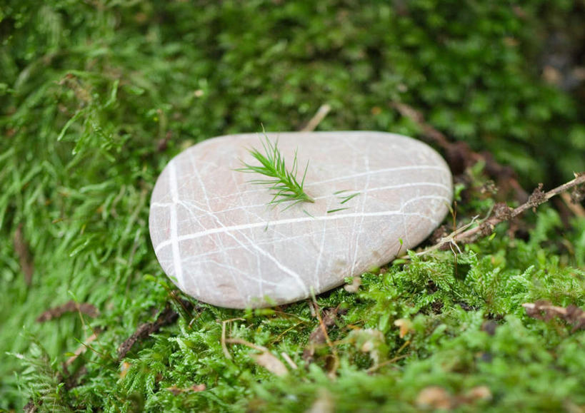 无人,横图,俯视,室外,特写,白天,旅游,度假,草地,草坪,石头,美景,植物,许多,条纹,石子,纹理,草丛,景观,苔藓,娱乐,草,一个,绿色,灰色,自然,享受,休闲,鹅卵石,景色,放松,单个,自然风光,肌理,石块,岩石,彩图,高角度拍摄