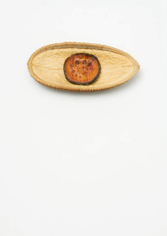 无人,竖图,俯视,室内,特写,白天,白色背景,桌面,桌子,蔬菜,切片,新鲜,干燥,木制,木勺,勺子,食品,豆荚,藕,食物,两个,一个,黄色,调羹,汤匙,摄影,有机食品,绿色食品,影棚,单个,横截面,莲藕,彩图,高角度拍摄,影棚拍摄,拍摄