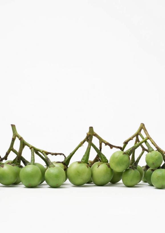 无人,竖图,俯视,室内,特写,白天,白色背景,桌面,桌子,茄子,蔬菜,一堆,许多,堆叠,堆积,新鲜,食品,食物,绿色,摄影,有机食品,绿色食品,影棚,堆,泰国食品,落苏,酪酥,昆仑瓜,矮瓜,彩图,高角度拍摄,影棚拍摄,拍摄