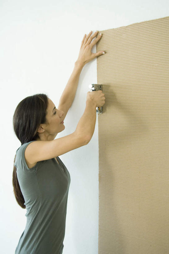 西方人,一个人,站,竖图,室内,白天,正面,装修,欧洲,欧洲人,仅一个年轻女性,仅一个女性,仅一个人,握,订书机,拿,拿着,装潢,按,站着,握着,纸板,按住,按着,年轻女性,女人,女性,白种人,设计,站立,半身,彩图