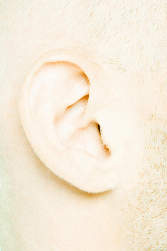 西方人,耳朵,一个人,竖图,室内,特写,白天,白色背景,侧面,欧洲,欧洲人,仅一个男性,仅一个人,仅一个年轻男性,摄影,影棚,男人,男性,年轻男性,白种人,耳,耳部,半身,彩图,影棚拍摄,拍摄