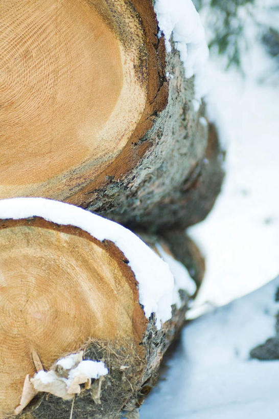 无人,竖图,室外,特写,白天,正面,美景,树林,雪,植物,大雪,朦胧,模糊,木头,积雪,景观,雪景,冬天,树,树木,绿色,自然,景色,生长,成长,原木,自然风光,彩图