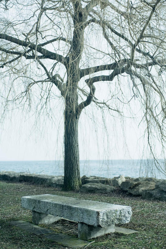 无人,竖图,室外,白天,正面,旅游,度假,草地,草坪,湖,湖泊,美景,水,植物,椅子,湖面,景观,水流,水面,水平线,辽阔,海平线,娱乐,草,树,树木,绿色,自然,湖水,享受,休闲,广阔,石椅,景色,放松,生长,成长,一望无际,自然风光,无边无际,一马平川,彩图,水天相接,水天一线