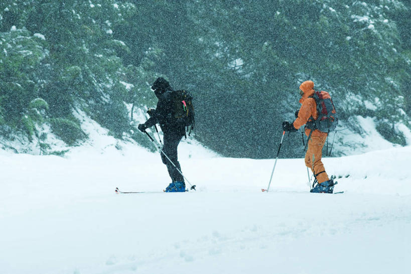 西方人,两个人,伙伴,朋友,横图,室外,白天,侧面,锻炼,旅游,度假,友谊,运动,森林,树林,雪,植物,大雪,欧洲,欧洲人,包,积雪,雪景,冬天,旅行包,娱乐,树,树木,绿色,自然,背包,享受,休闲,放松,生长,成长,滑雪杖,室外运动,户外运动,友情,男人,男性,年轻男性,年轻女性,女人,女性,白种人,彩图,全身,健身,双肩包
