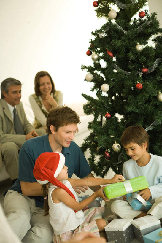 西方人,儿童,家庭,坐,竖图,室内,白天,正面,纯洁,植物,地板,礼盒,礼物,椅子,欧洲,圣诞节,欧洲人,五个人,一棵,节日,庆祝,纸盒,墙,圣诞树,地面,注视,文化,木地板,墙壁,墙面,盒子,装饰品,树,树木,小孩,绿色,自然,包装盒,礼品盒,观察,看,庆典,温暖,温馨,一家人,可爱,童年,童趣,礼品,生长,成长,观看,纪念,和睦,察看,关注,拆,童真,烂漫,无邪,天真,男孩,男人,男性,年轻男性,年轻女性,女孩,女人,女性,白种人,坐着,半身,彩图,融洽,男生,女生