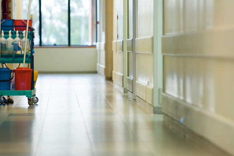 无人,横图,室内,白天,正面,树林,植物,窗户,地板,门,一辆,阴影,光线,桶,推车,影子,墙,地面,木地板,拖把,玻璃窗,墙壁,墙面,玻璃制品,树,树木,一个,绿色,阳光,自然,玻璃瓶,瓶子,容器,药水,门框,四个,生长,单个,成长,储藏,储存,彩图,贮存